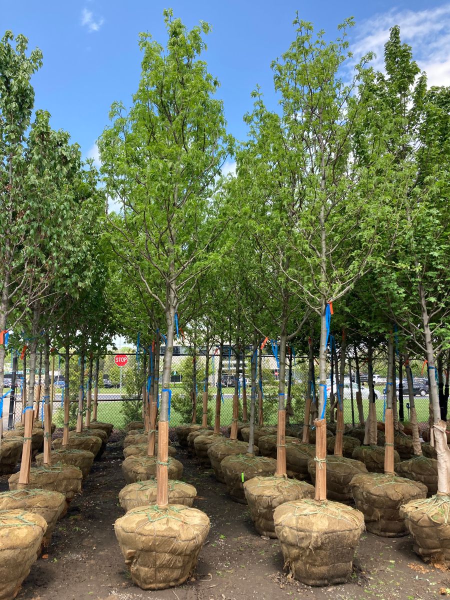 What’s New and Fresh, 24 May 2022