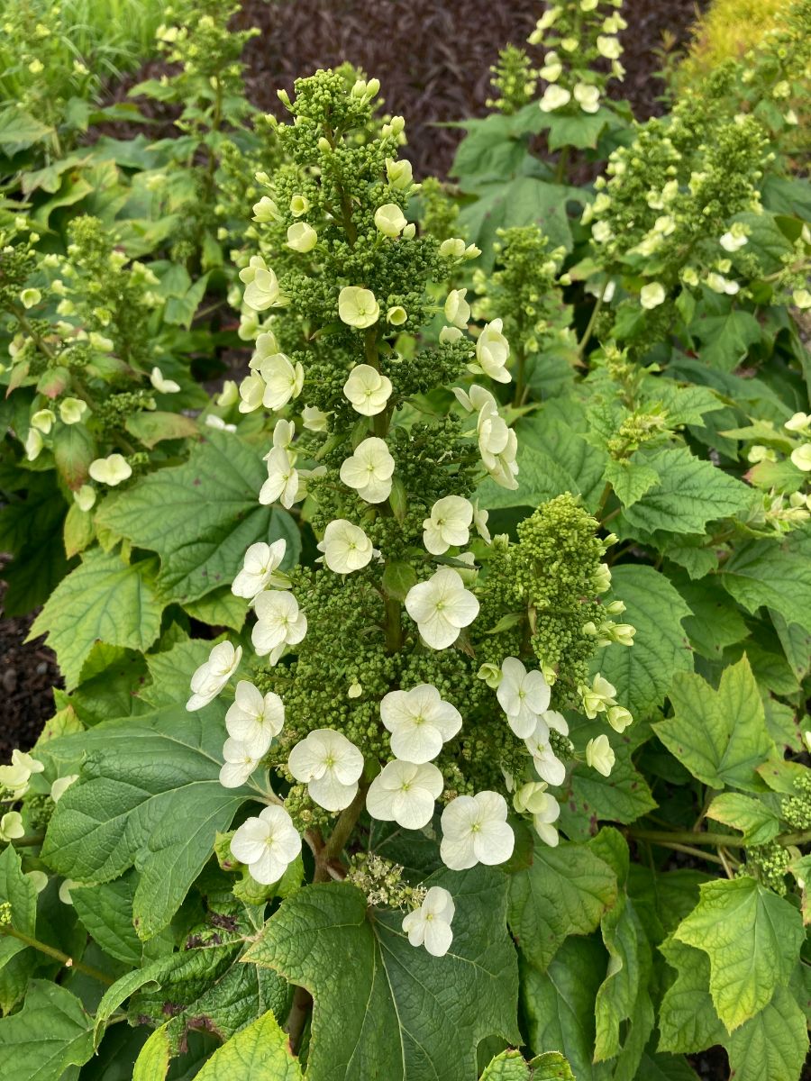 What’s New and Fresh, 5 Jun 2022