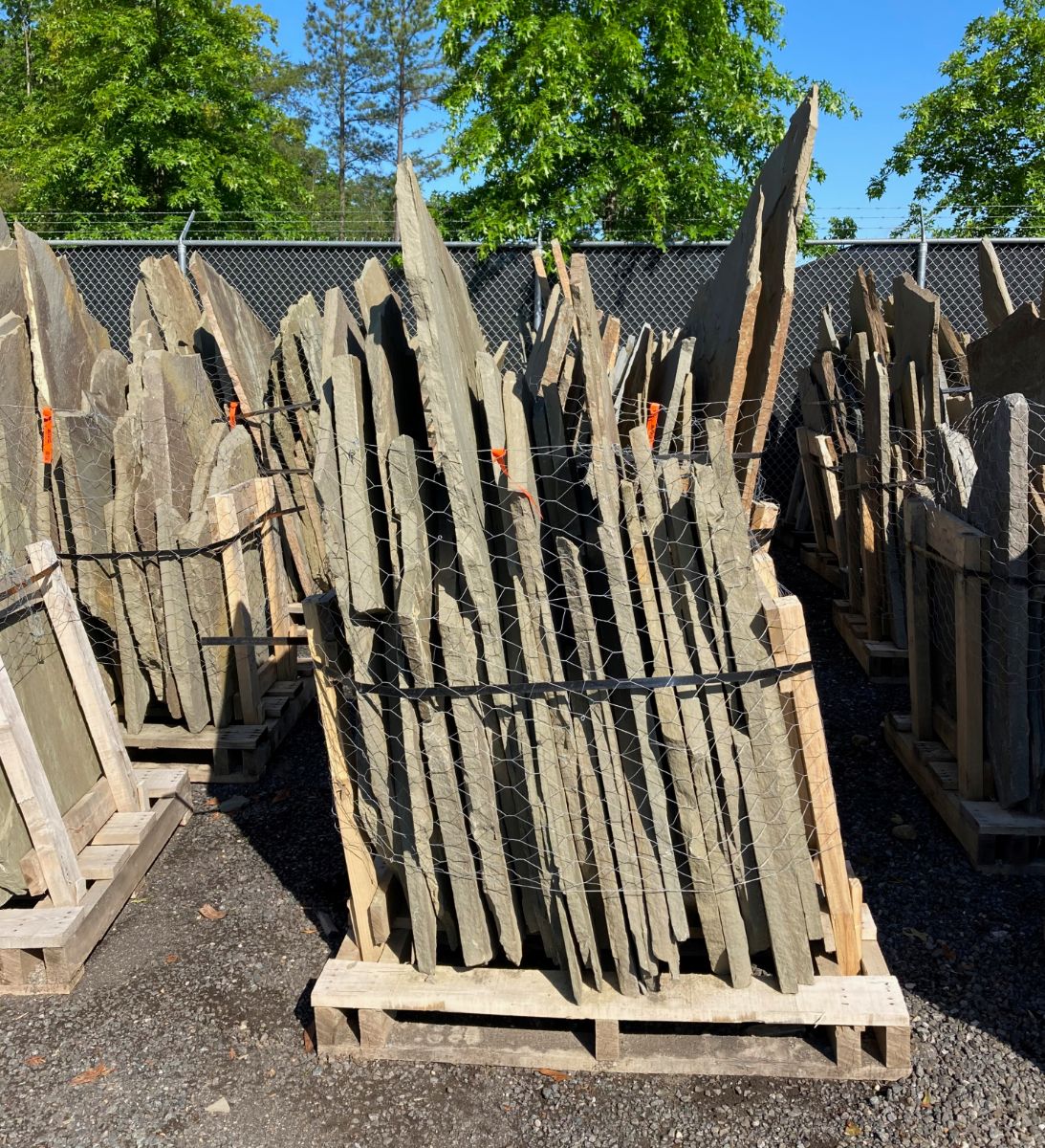 What’s New and Fresh, 27 May 2022