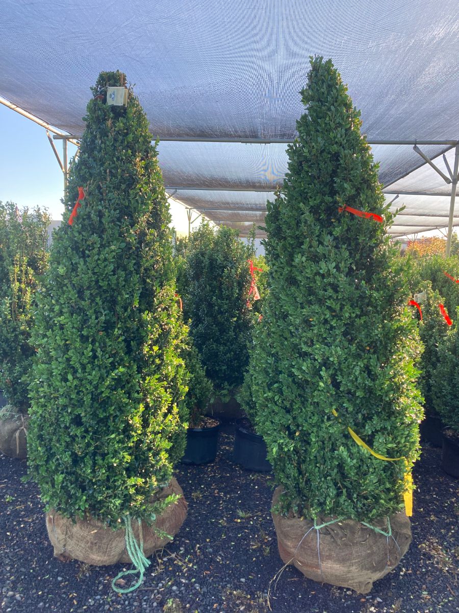 What’s New and Fresh, 14 Jun 2022