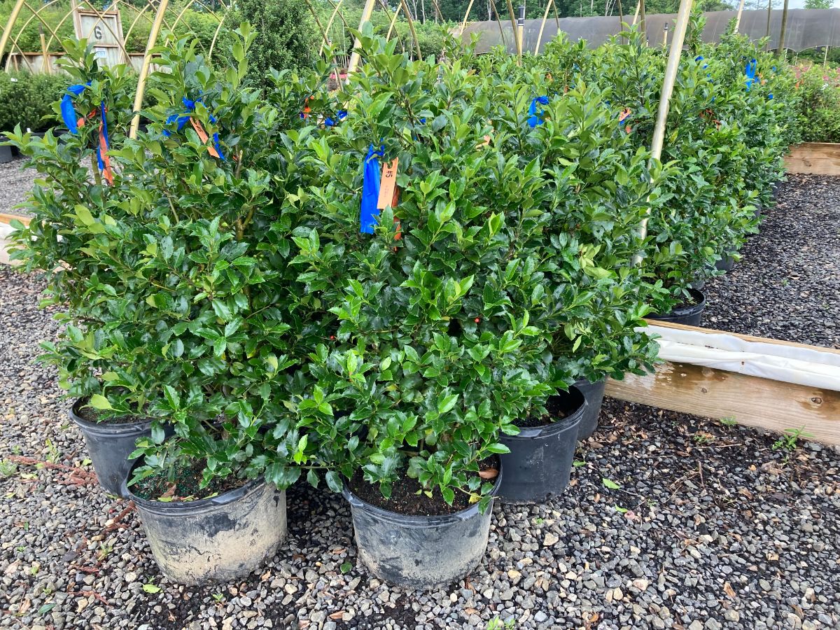 What’s New and Fresh, 17 Jun 2022