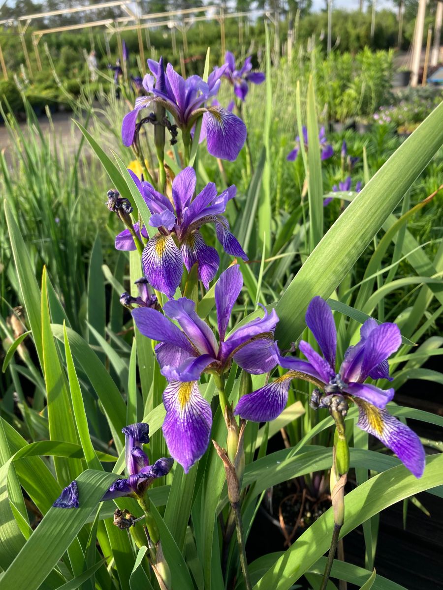 What’s New and Fresh, 8 Jun 2022