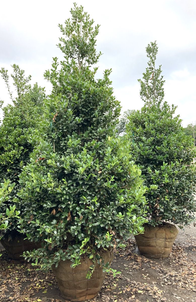 What’s New and Fresh, 22 Jul 2022