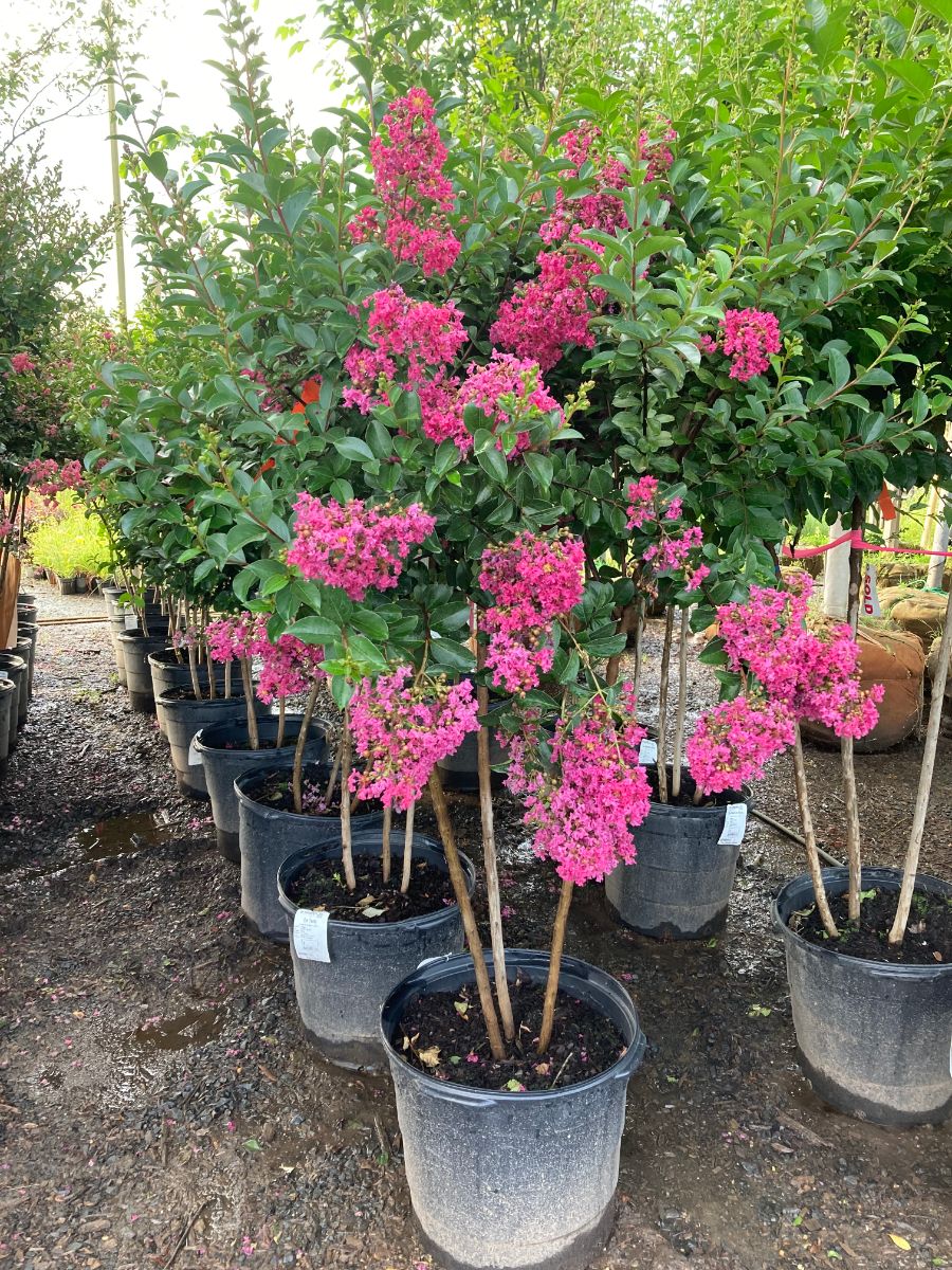 What’s New and Fresh, 10 Jul 2022