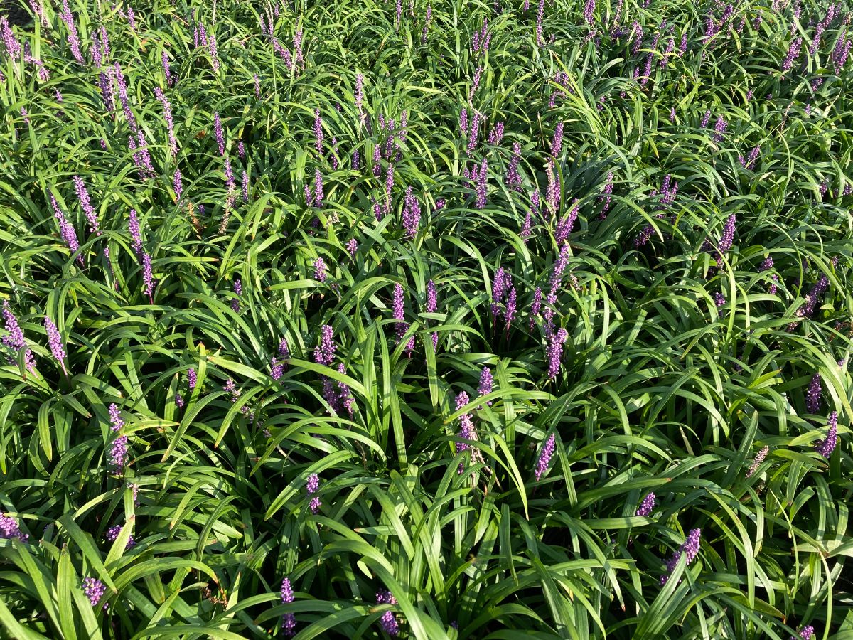 What’s New and Fresh, 14 Jul 2022