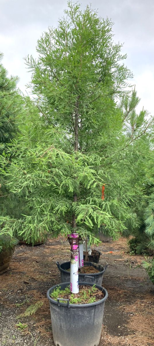 What’s New and Fresh, 3 Aug 2022