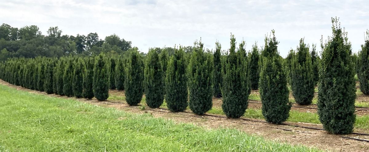 In the Field, 4 Sept 2022