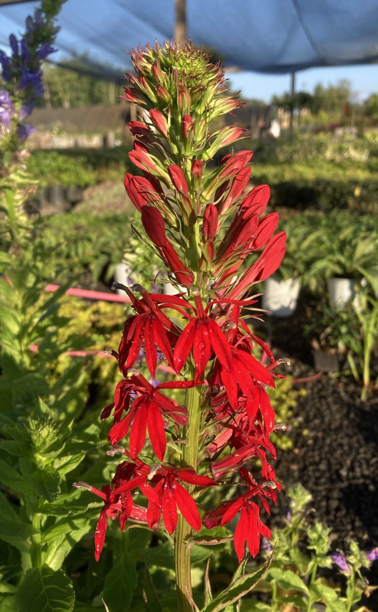 What’s New and Fresh, 15 Aug 2022