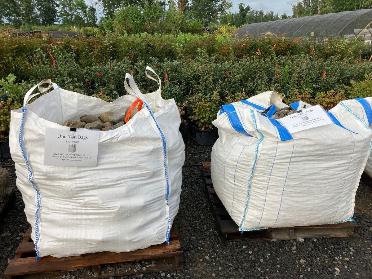 What’s New and Fresh, 19 Aug 2022