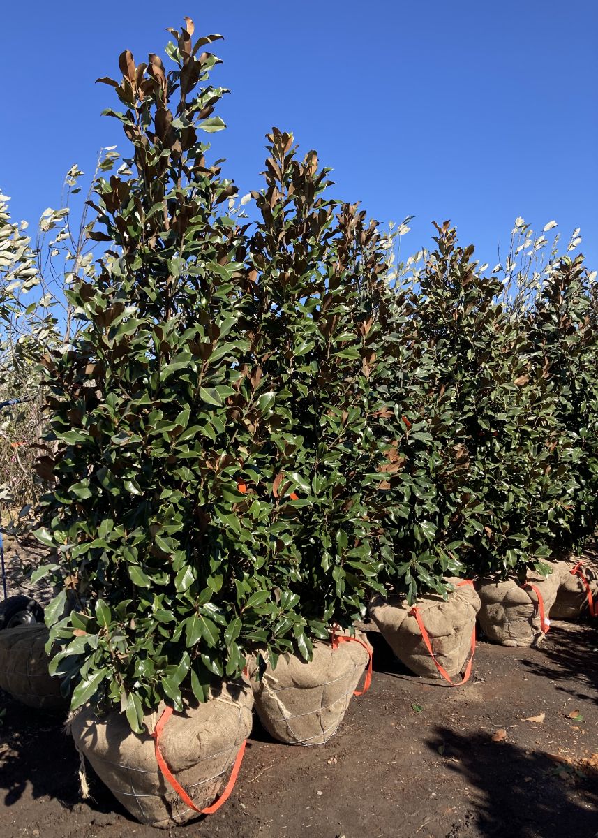 What’s New and Fresh, 20 Mar 2023