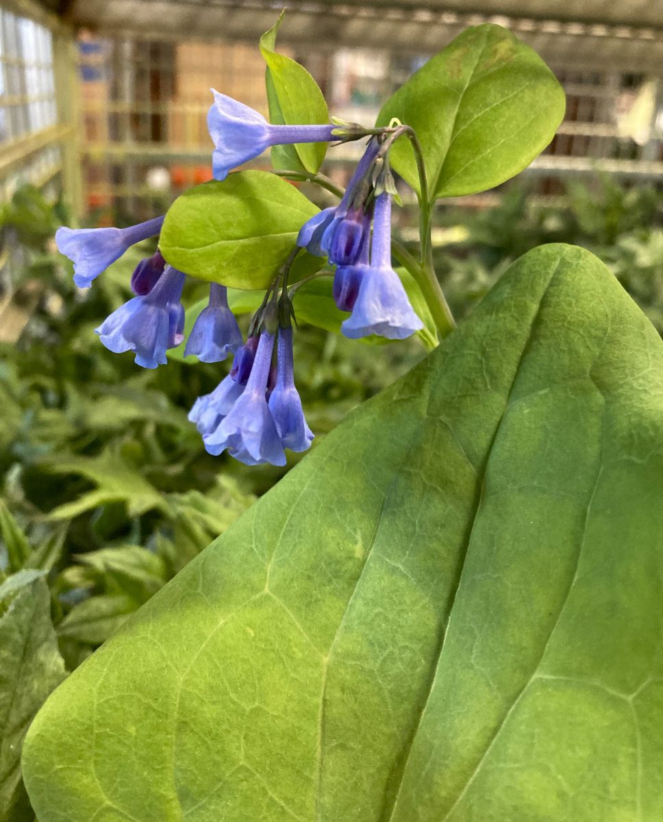 What’s New and Fresh, 23 Mar 2023