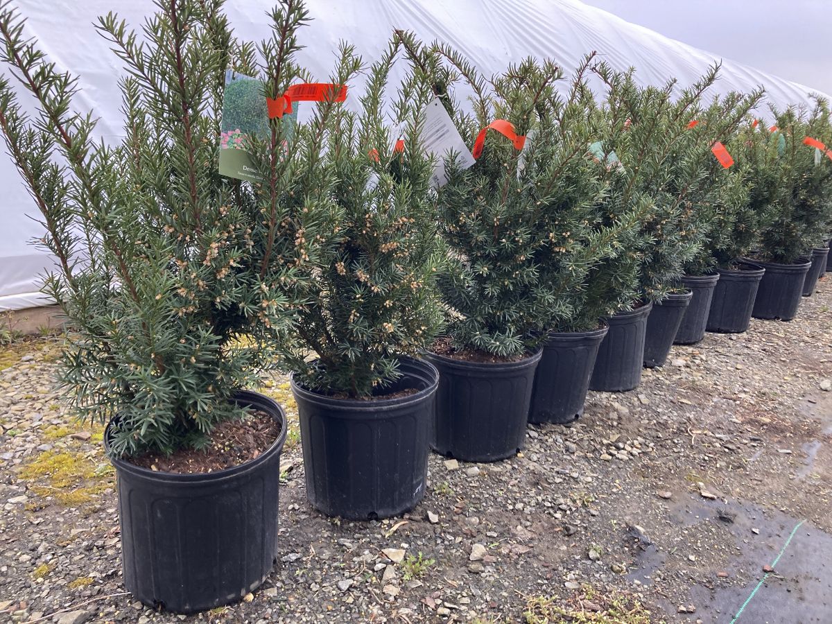 What’s New and Fresh, 16 Mar 2023