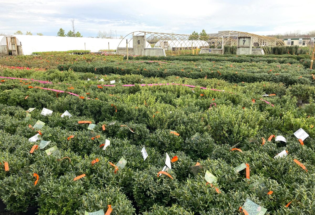 What’s New and Fresh, 12 Apr 2023