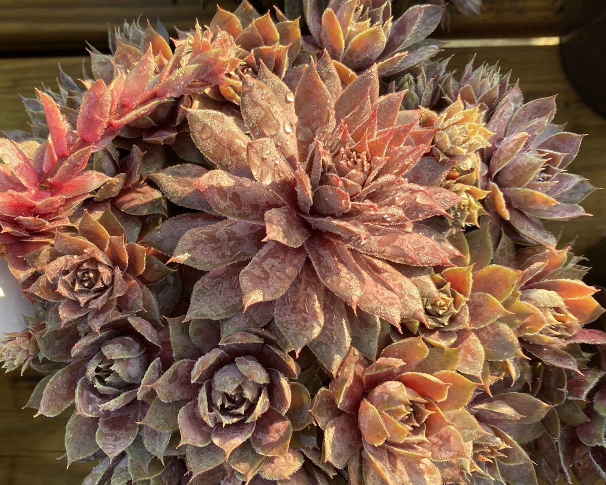 What’s New and Fresh, 8 May 2023