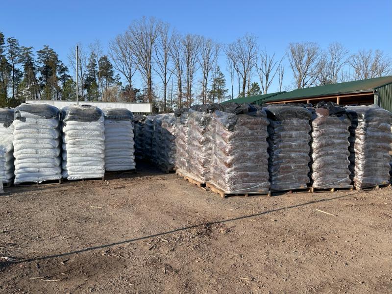 What’s New and Fresh, 17 Mar 2025