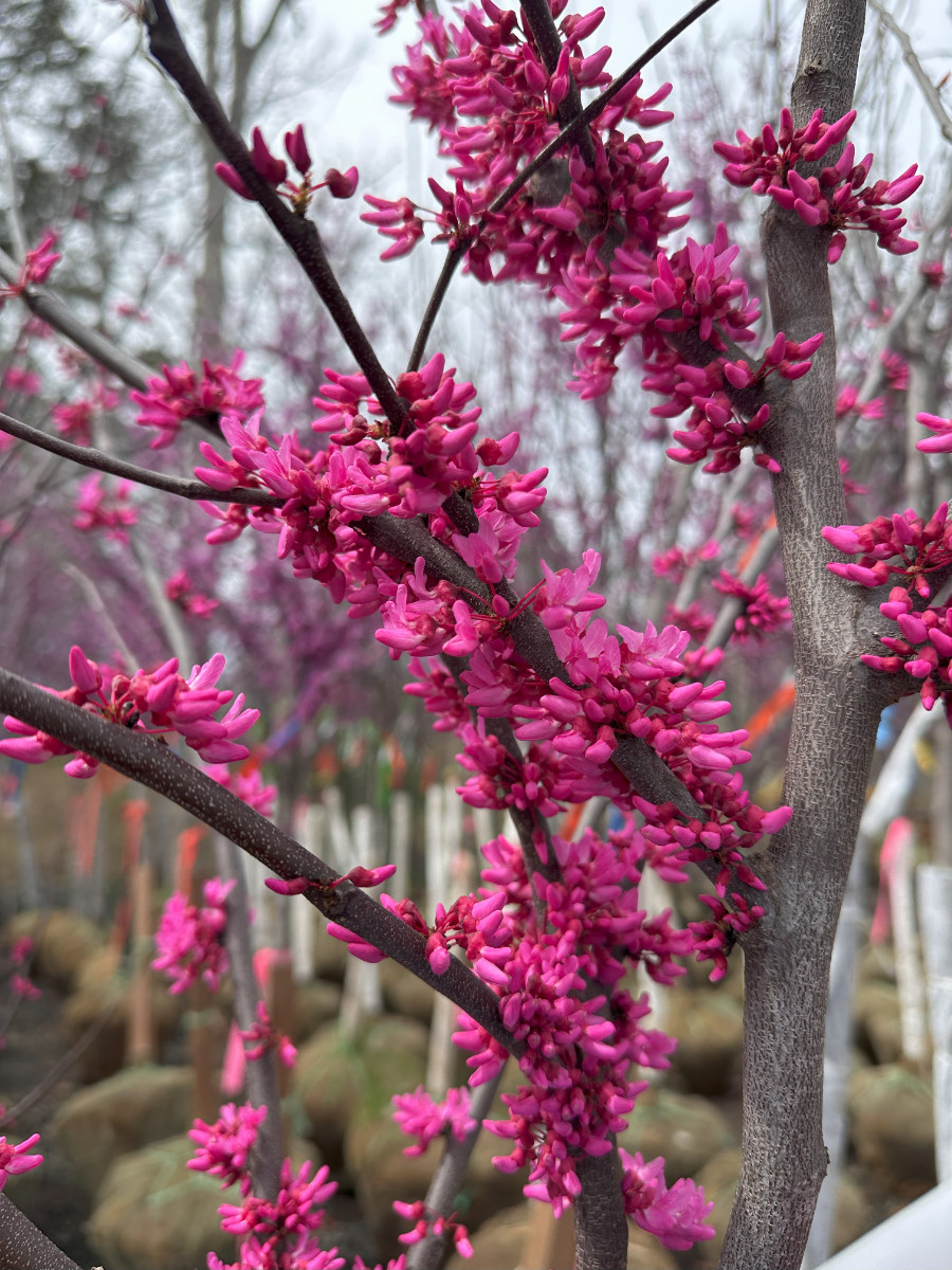 What’s New and Fresh, 11 Apr 2025