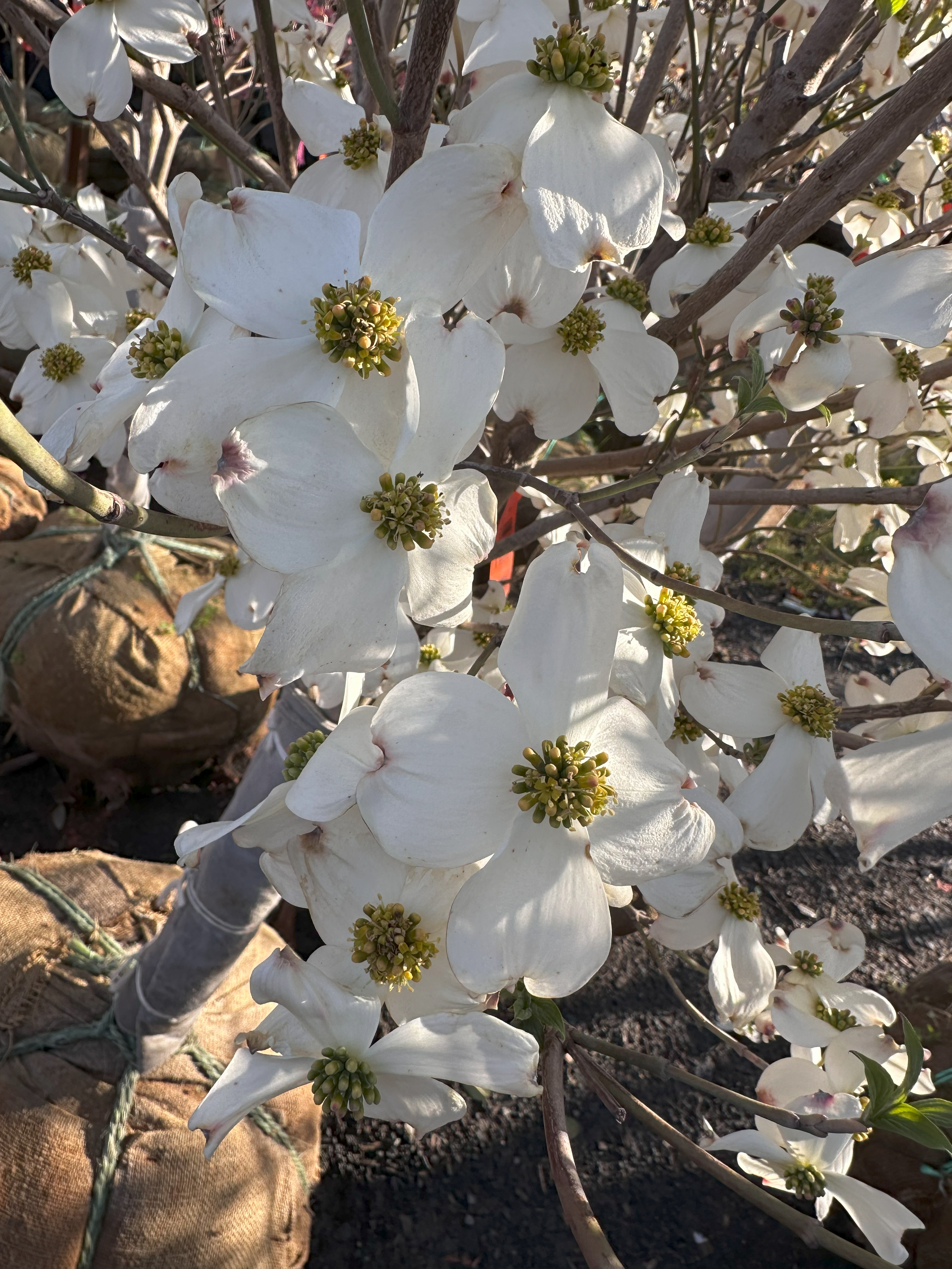 What’s New and Fresh, 2 May 2025