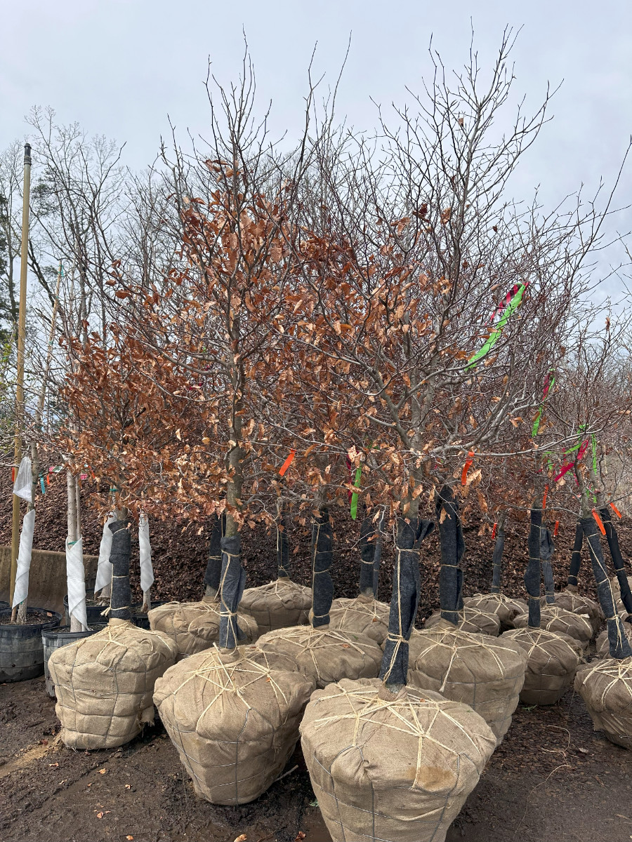 What’s New and Fresh, 14 Apr 2025