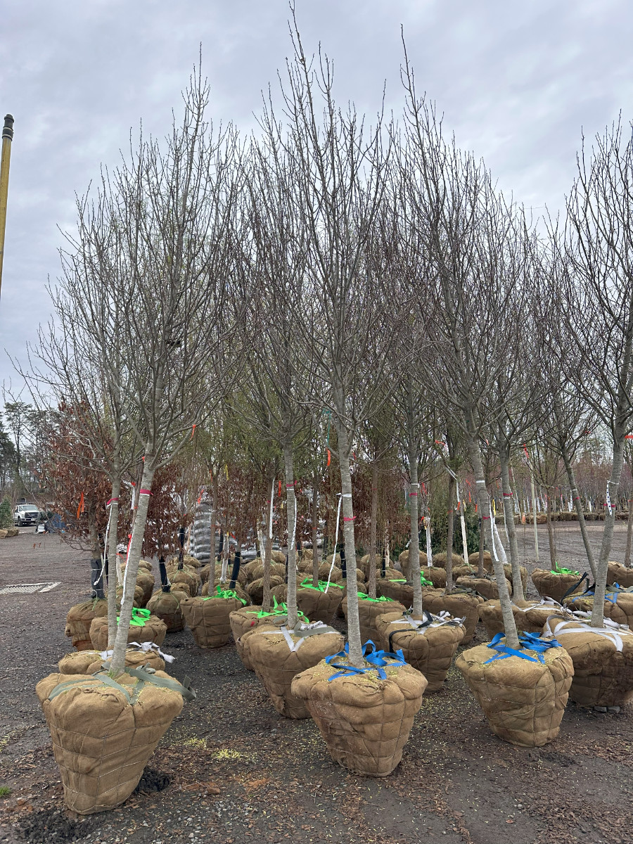 What’s New and Fresh, 9 Apr 2025