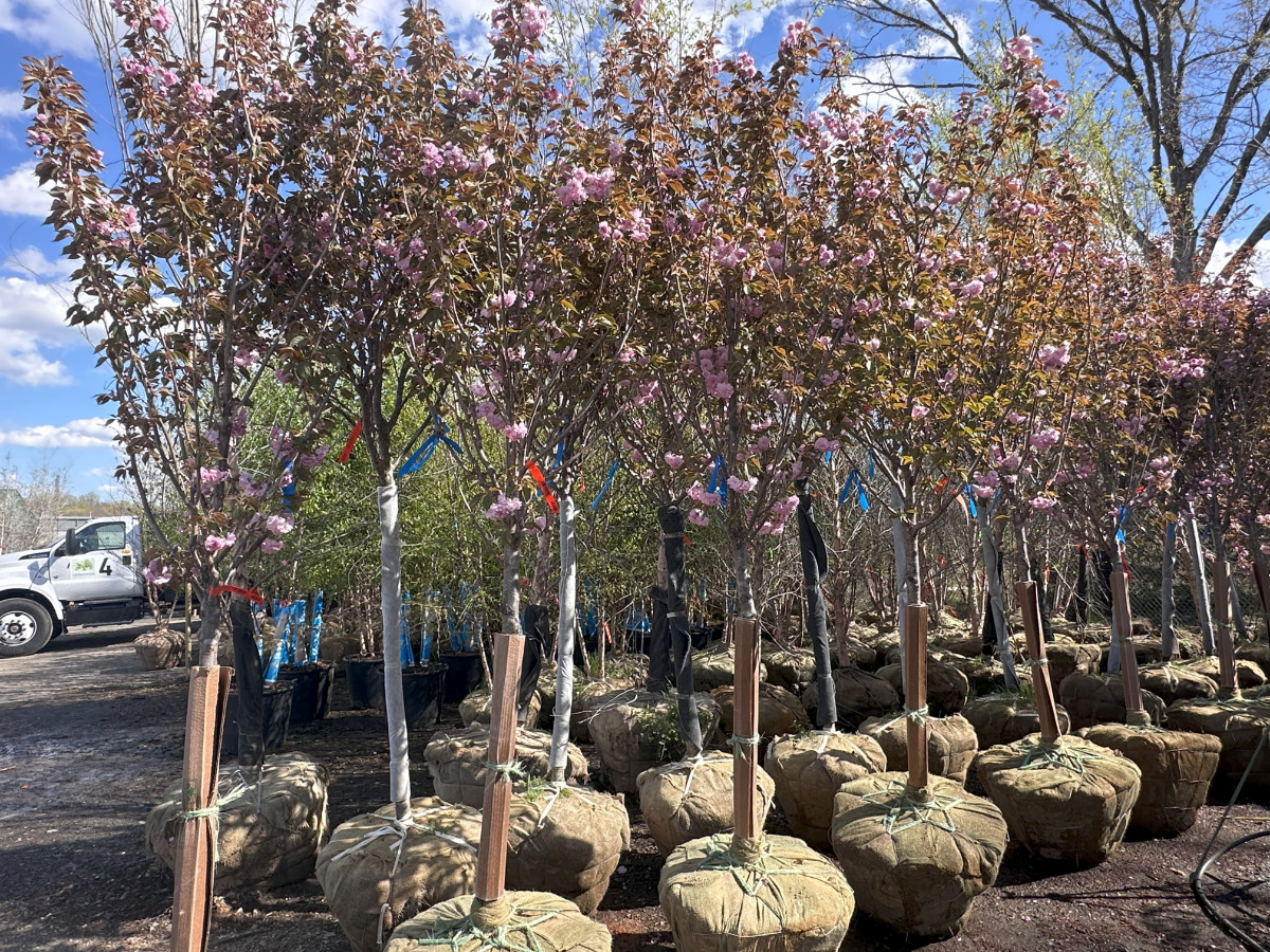 What’s New and Fresh, 28 Apr 2025