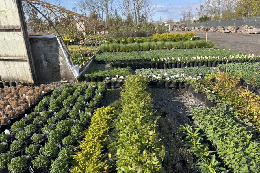 What’s New and Fresh, 18 Apr 2025