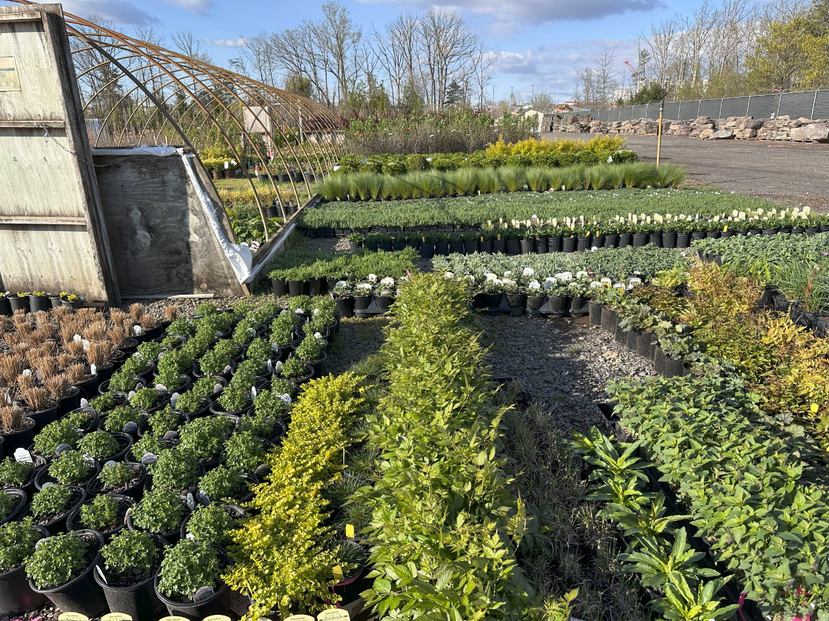 What’s New and Fresh, 18 Apr 2025