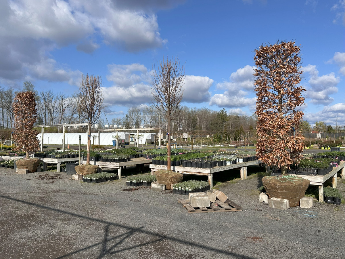 What’s New and Fresh, 21 Apr 2025