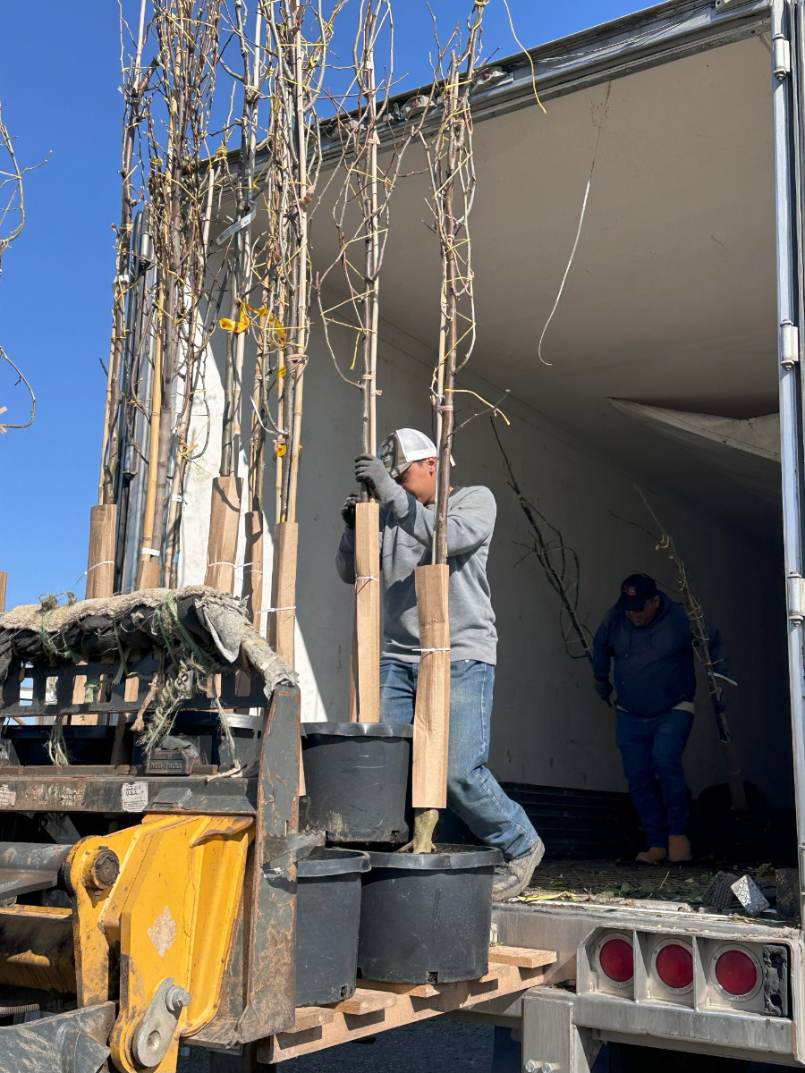 What’s New and Fresh, 16 Apr 2025