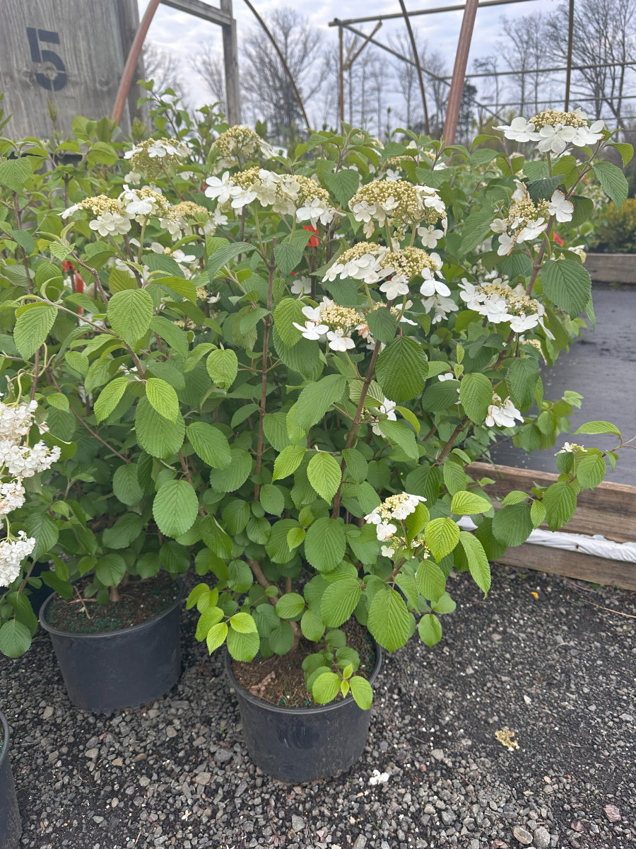 What’s New and Fresh, 23 Apr 2025