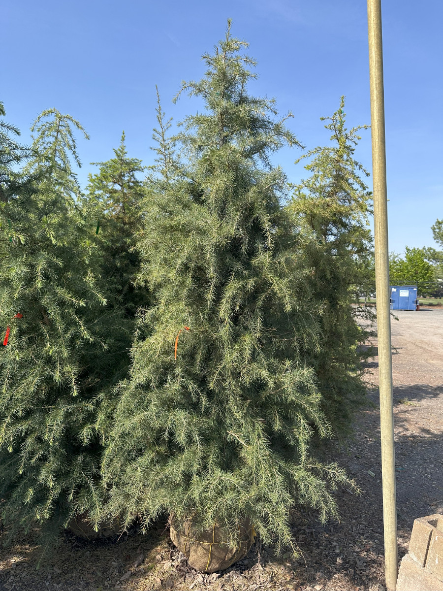 What’s New and Fresh, 14 May 2025