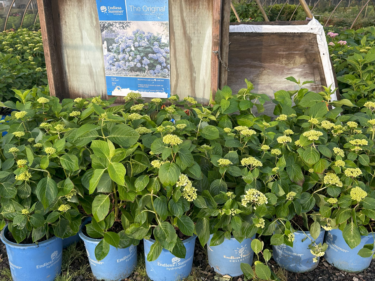 What’s New and Fresh, 23 May 2025