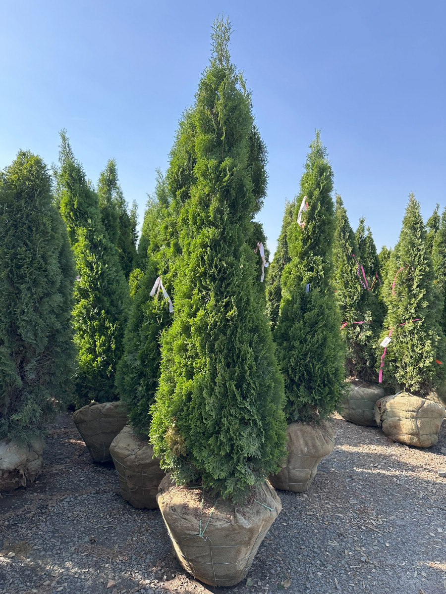 What’s New and Fresh, 9 May 2025