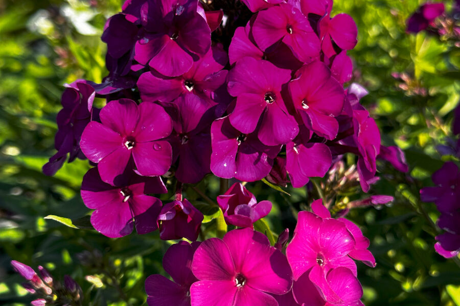 What’s New and Fresh, 14 Jul 2025