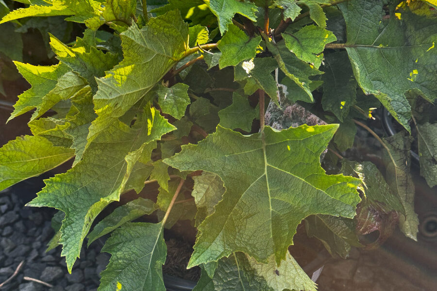 What’s New and Fresh, 10 Sept 2025