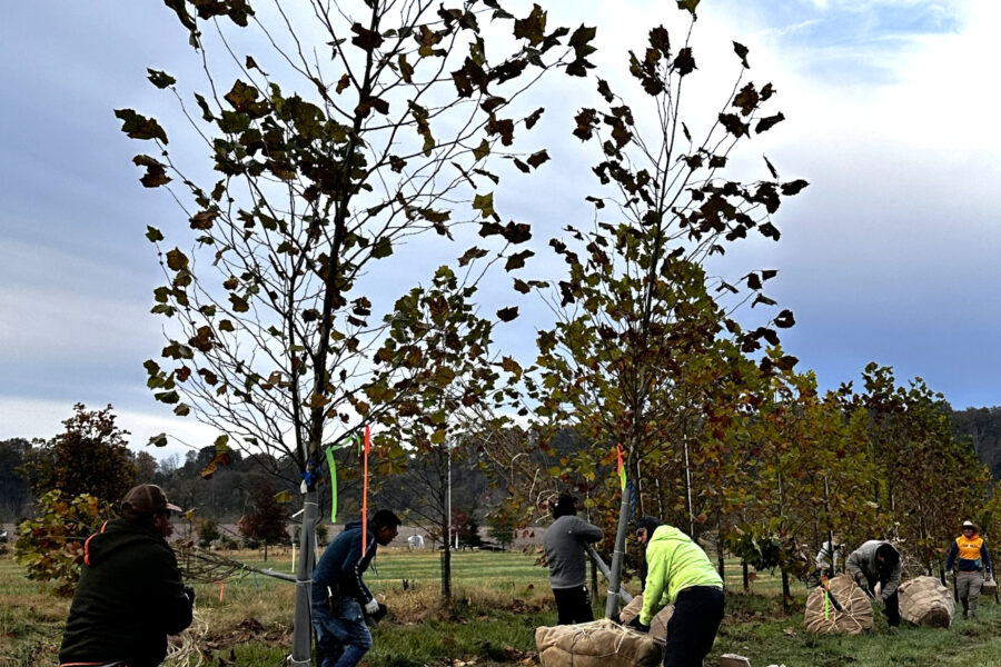 In the Field, 3 Nov 2025