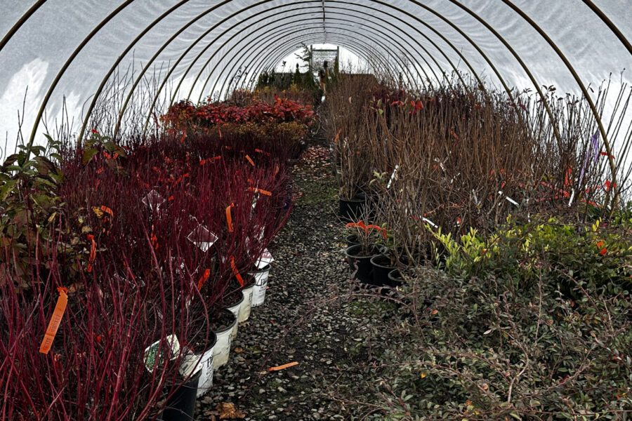 Farewell!, 31 Dec 2025