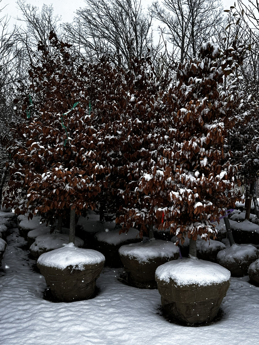 What’s New and Fresh, 17 Dec 2025