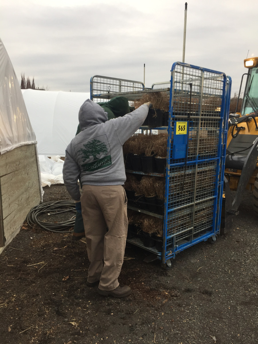 What’s New and Fresh, 20 Febr 2018