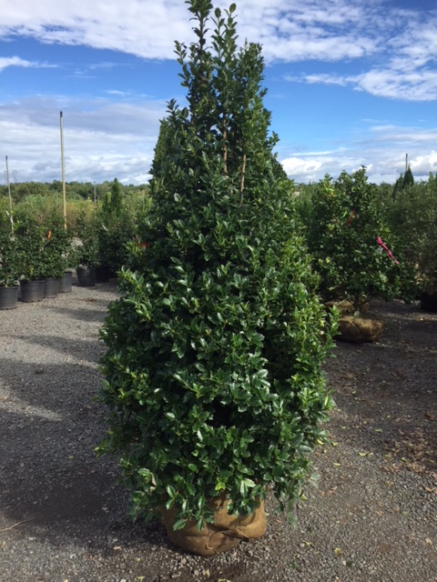 What’s New and Fresh, 27 Sept 2018